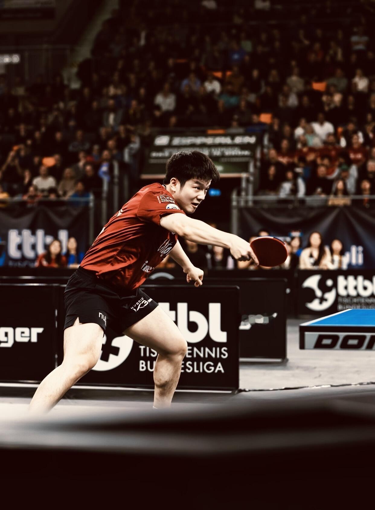 三个问题不解决，樊振东是无法回归国乒的！樊振东回归国乒的消息传了大半年，球迷