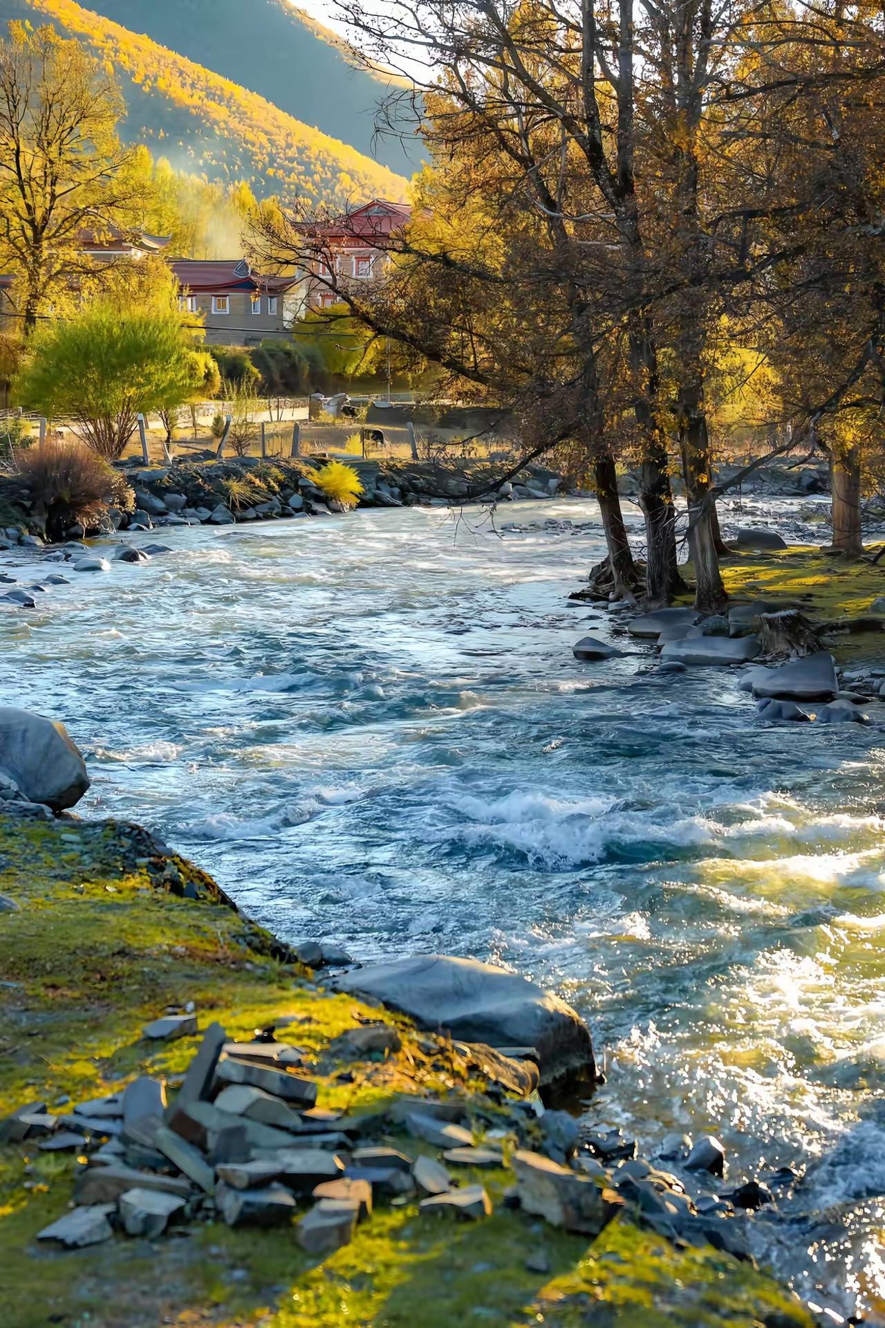 晒图笔记大赛参加晒图笔记大赛太有意思啦！生活里忙得晕头转向，忘了吃饭只想躺平的