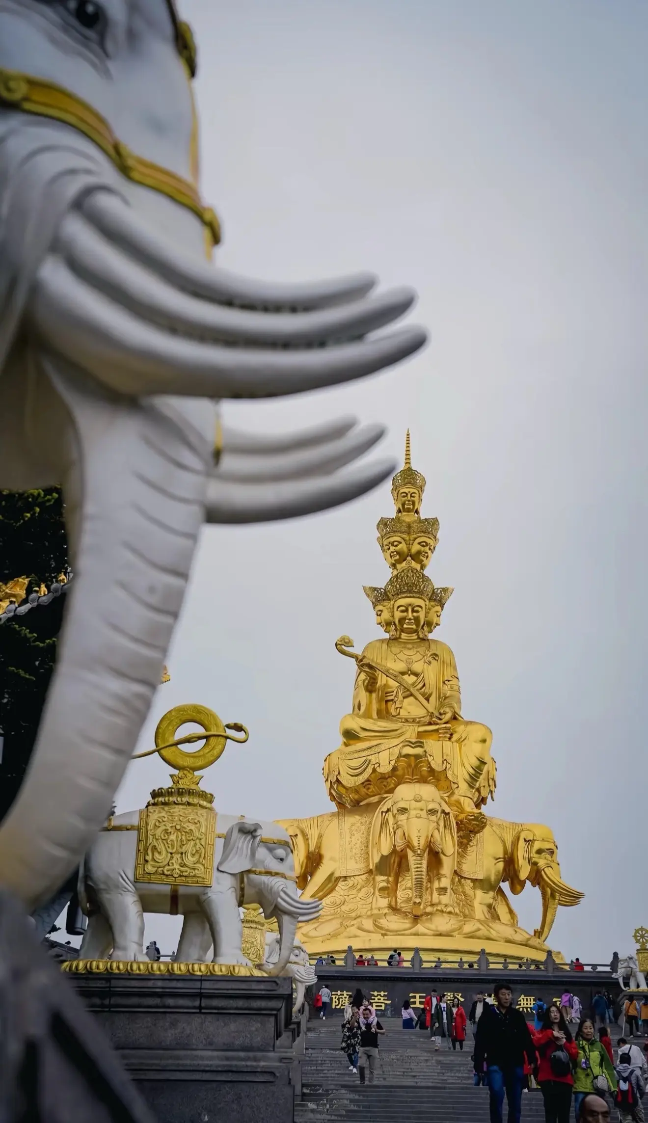 峨眉山篇……嘴好硬，路好远，台阶好高，坡好陡，腿好疼…… 体验感拉满...