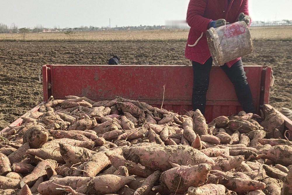 45岁以后在单位这个市场你基本稳定了，不要再抱不切实际的晋升之梦，更别说五十岁以