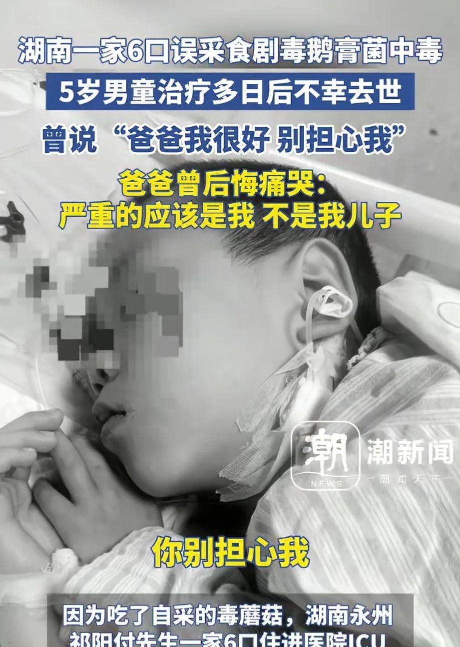 五岁男童吃了毒蘑菇，在医院抢救几天后去世，他在进抢救室之前还对爸爸说：“爸爸不要