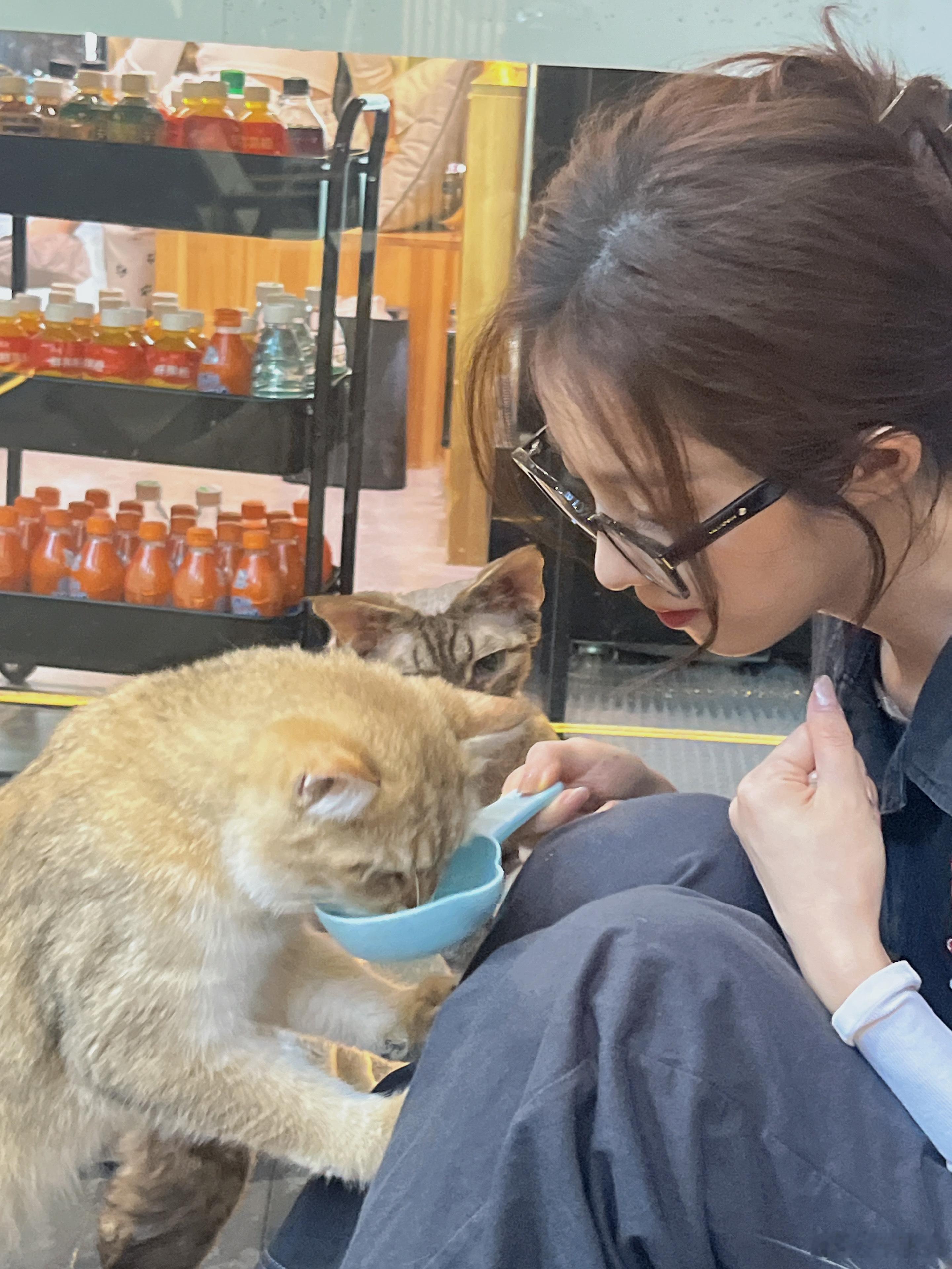 万鹏在复制粘贴的时代，你是手写的诗