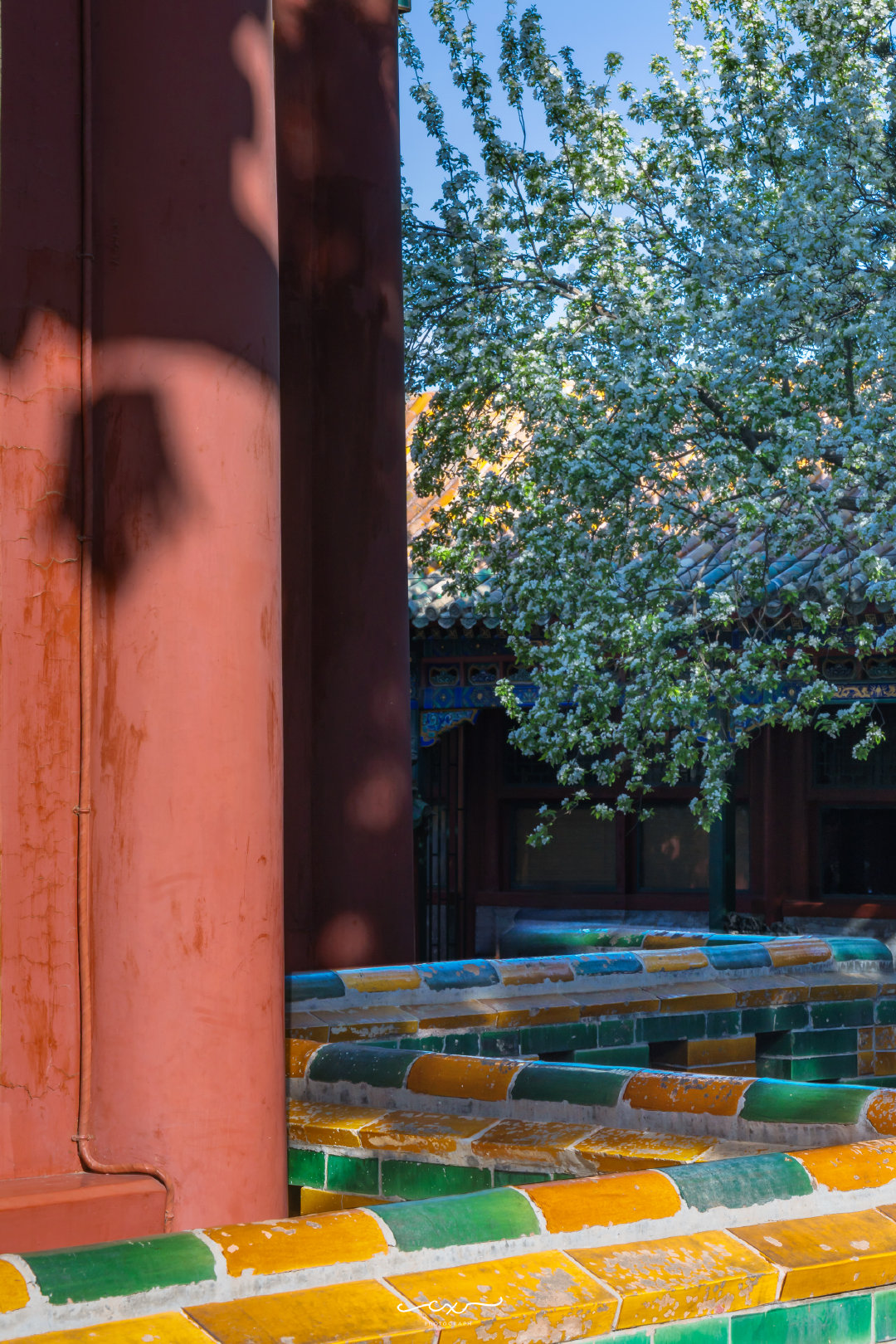 四月限定，团城三白。📍北海公园•团城📸2026-04-06摄影