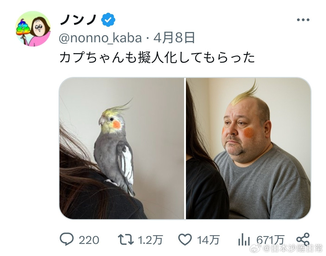 用AI将玄凤鹦鹉拟人化🦜海外新鲜事​​​