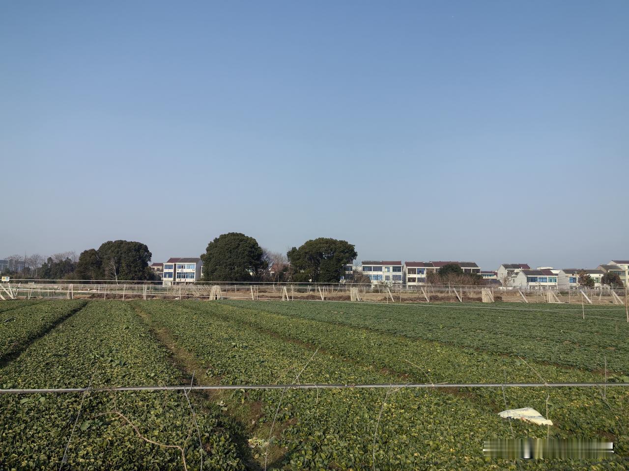 我们这里有家人家，儿子是我小学同学，但非常不幸，儿子才26岁就出车祸走了。他