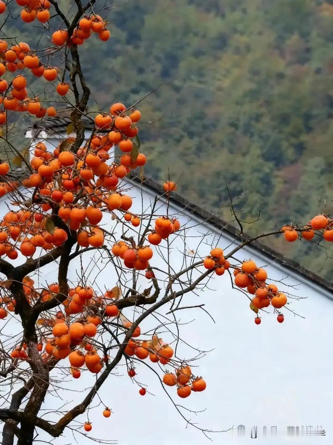 初中想提高成绩，得讲究方法。先明确目标、制定计划。可以设短期目标，比如每次考试