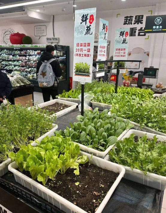 这家超市也太新鲜了！！！