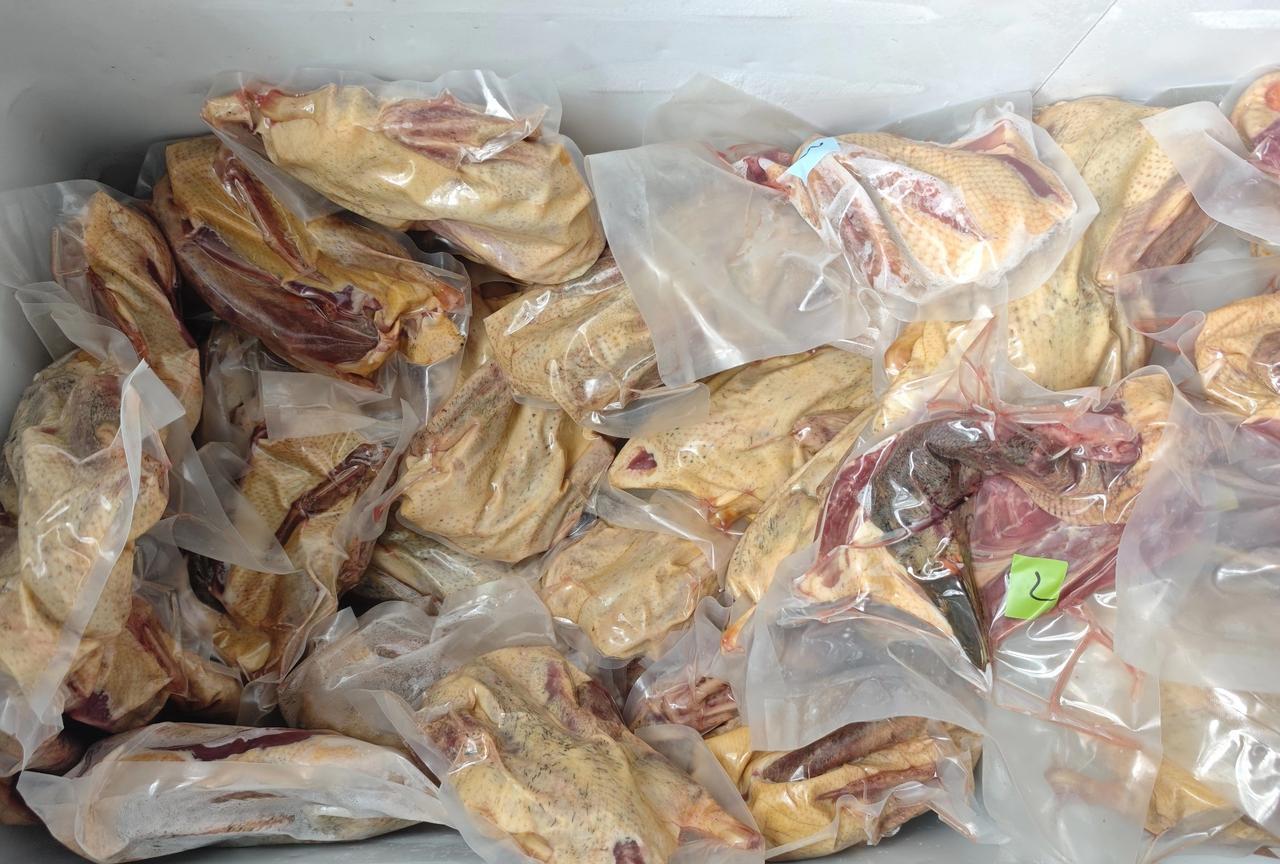 豆爸刚刚跟我说：鸭子就剩50只了。我忍不住在心里估算着，想着也没卖多久啊？他