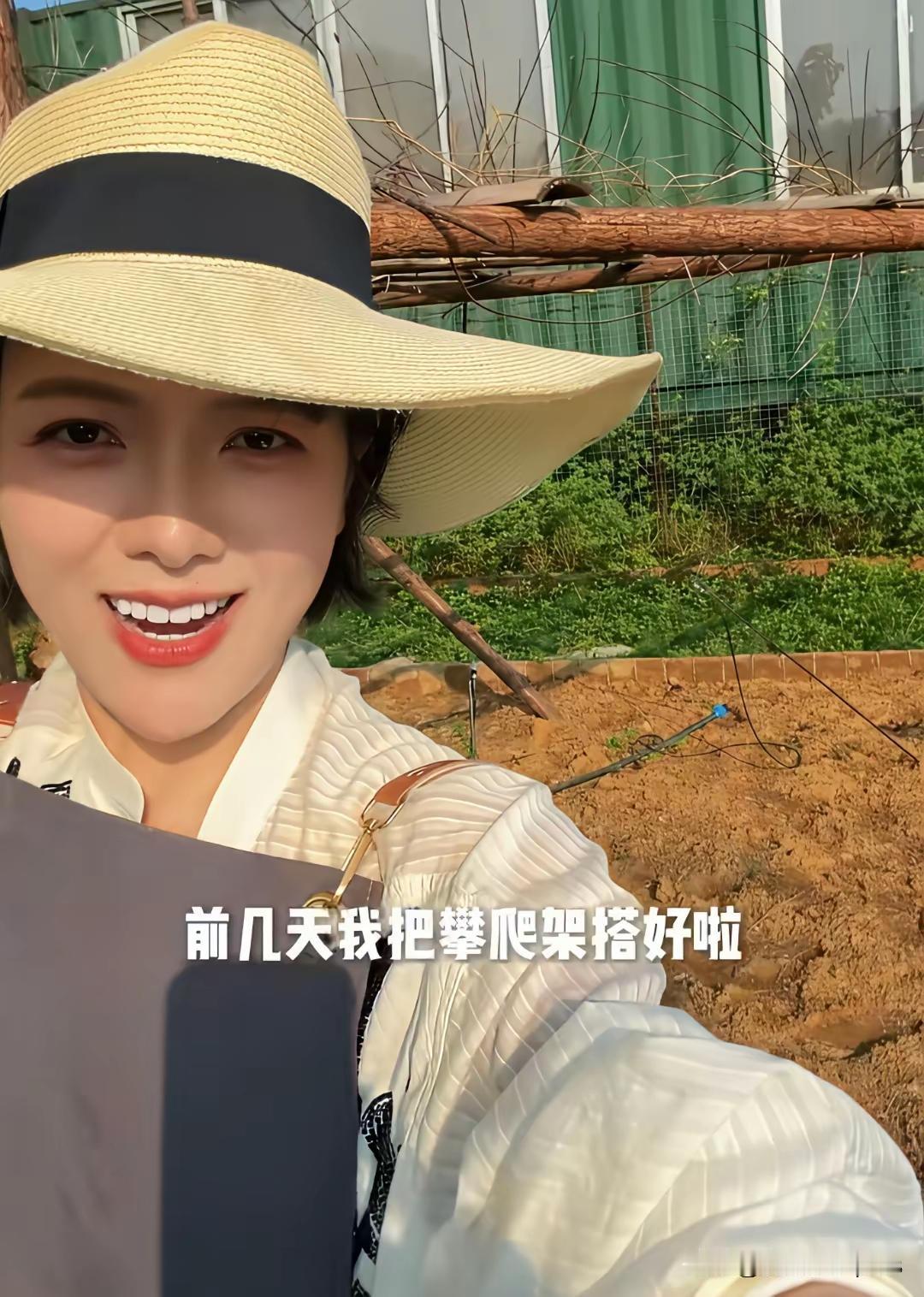 杨乐乐最近在自家院子里折腾出了片小天地，说是模仿苗苗种有机菜，细看下来还真有那股