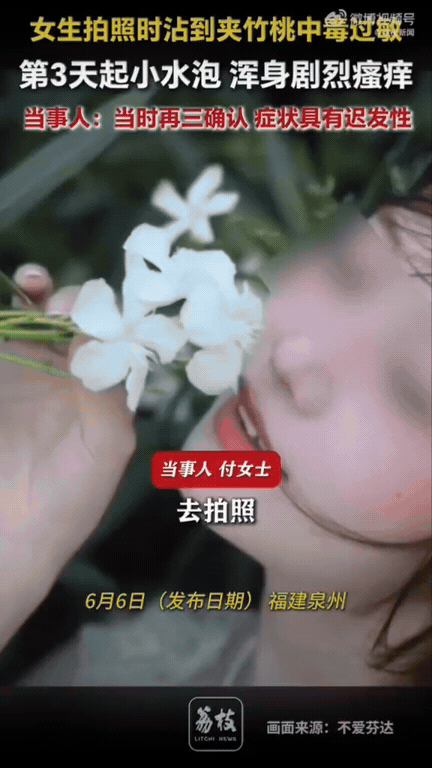 路边的野花不要采！福建泉州一对母女去公园游玩，女孩看到路边一朵白白的小花特别好看