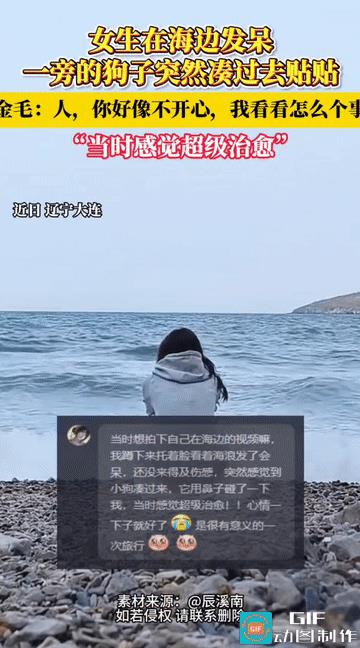 “太治愈了！”辽宁大连，女生独自一个人在海边发呆，一旁的狗狗突然离开了自己的主人