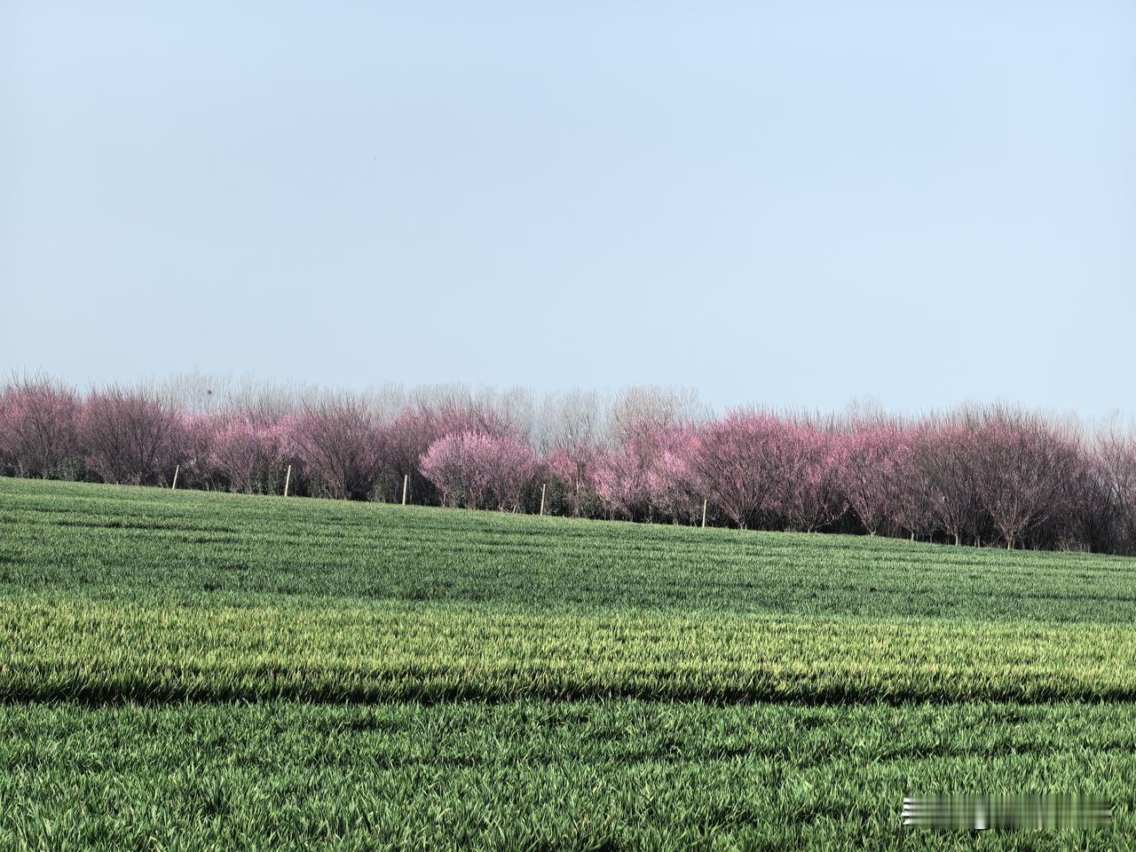 我老家农村，每年都要回农村一两次。说实话，农村就春节时有人，春节大家都回老家了