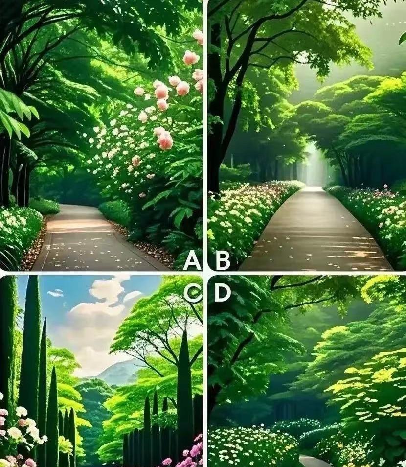 你认为哪条路最通畅，测试老天爷为你安排了怎样的人生？#我的宝藏兴趣#[