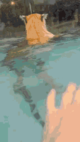 你好！卧槽吓死我了