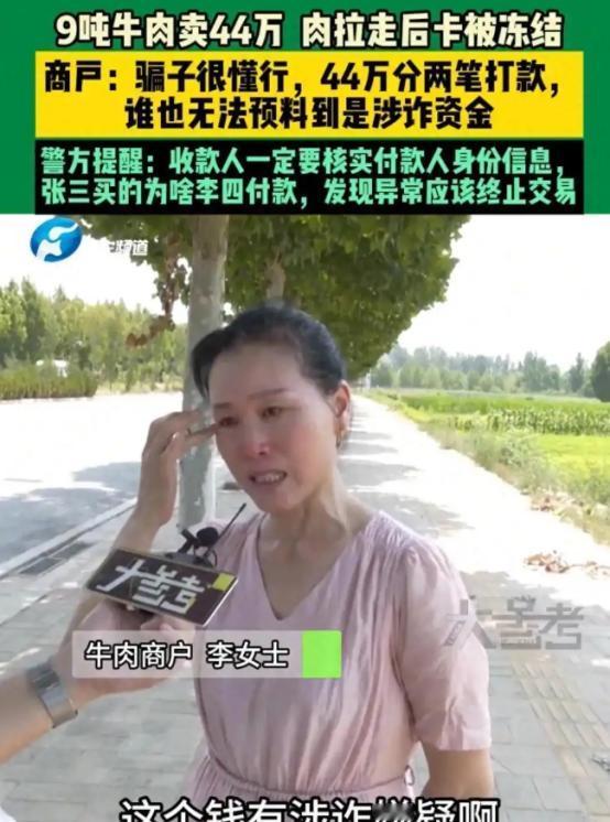 “这下亏惨了！”郑州大姐守着自家牛肉摊，突然砸来个44万9吨牛肉的大单。钱到
