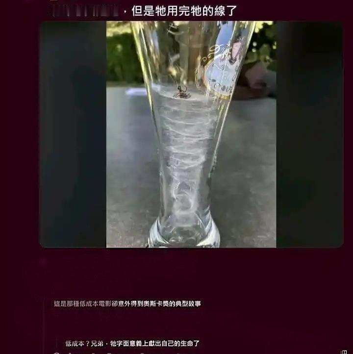 对于电影来说确实是低成本制作，对于蜘蛛来说它付出了生命