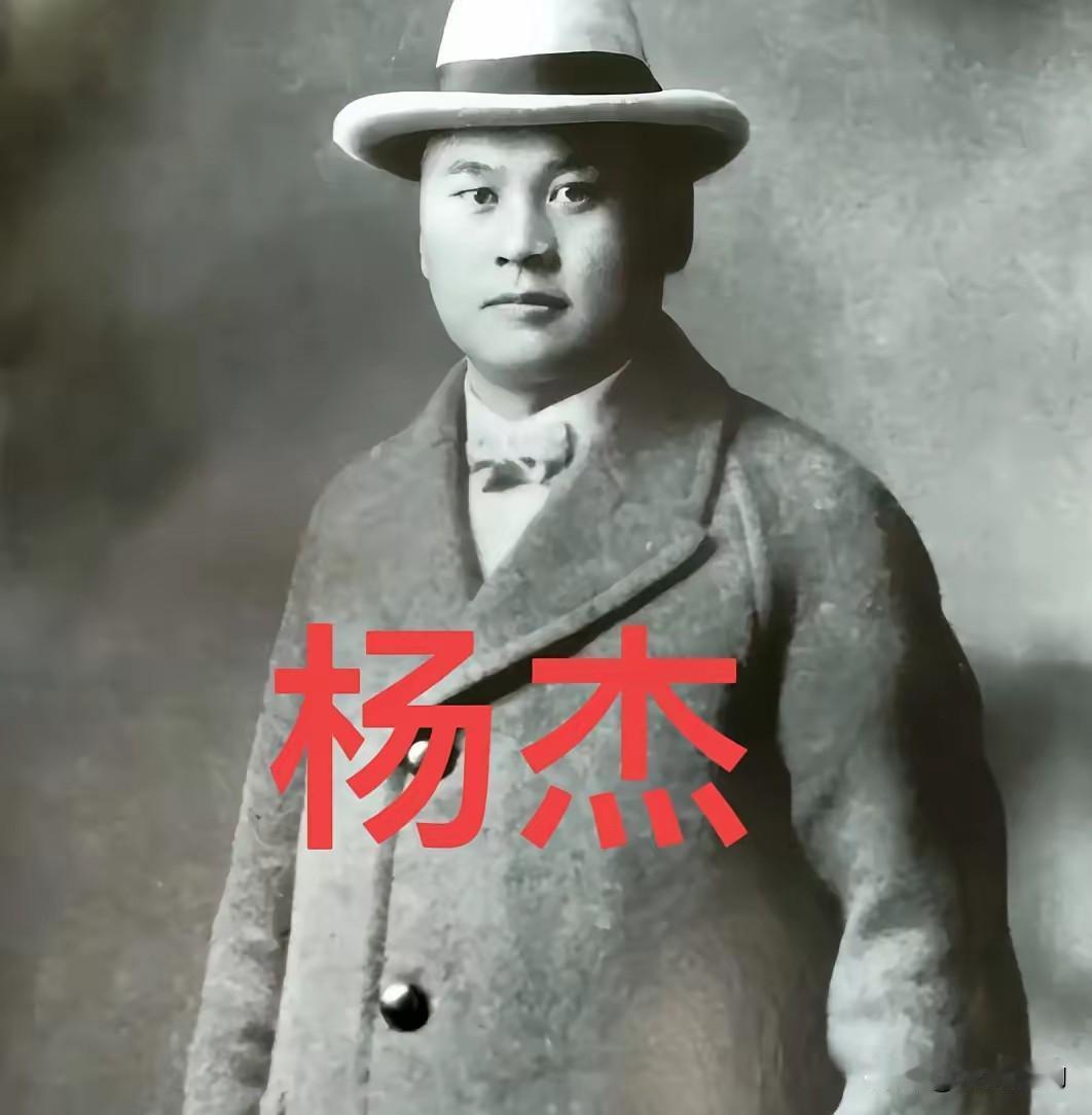 1948年，民国军学泰斗，斯大林口中的“战略家”杨杰，曾向主席提出过一个绝密的大