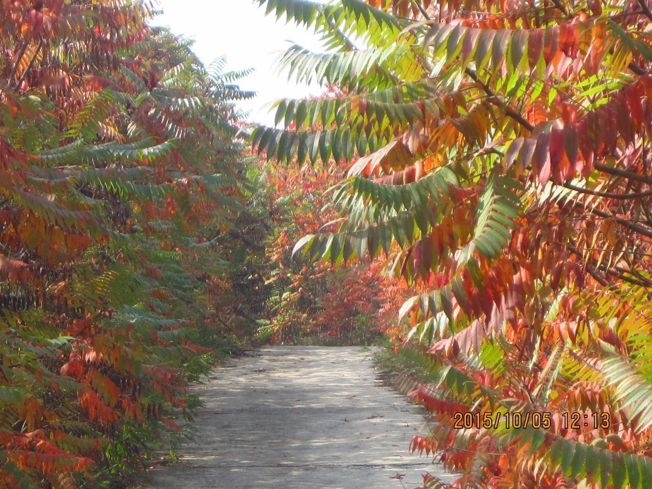 美国又公布了一部分萝莉岛信息，这回上层几乎都沦陷了！具体内容大家自己去搜吧，总体