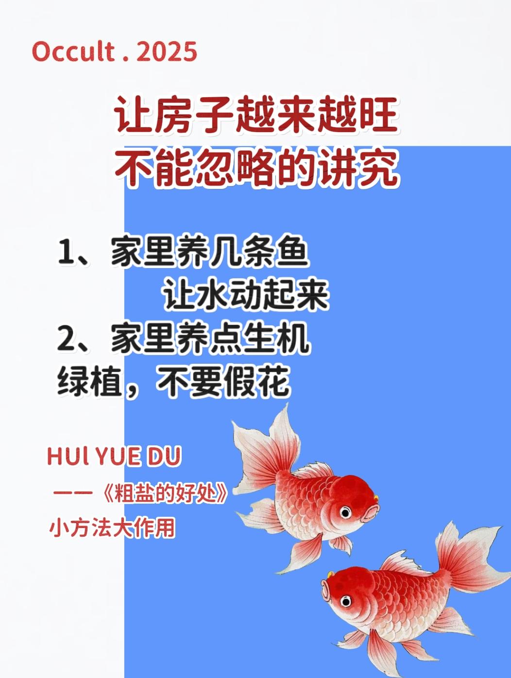 粗盐的好处 粗盐碟置于家中角落受益无穷 住宅有讲究 小方法大作用 女性智慧