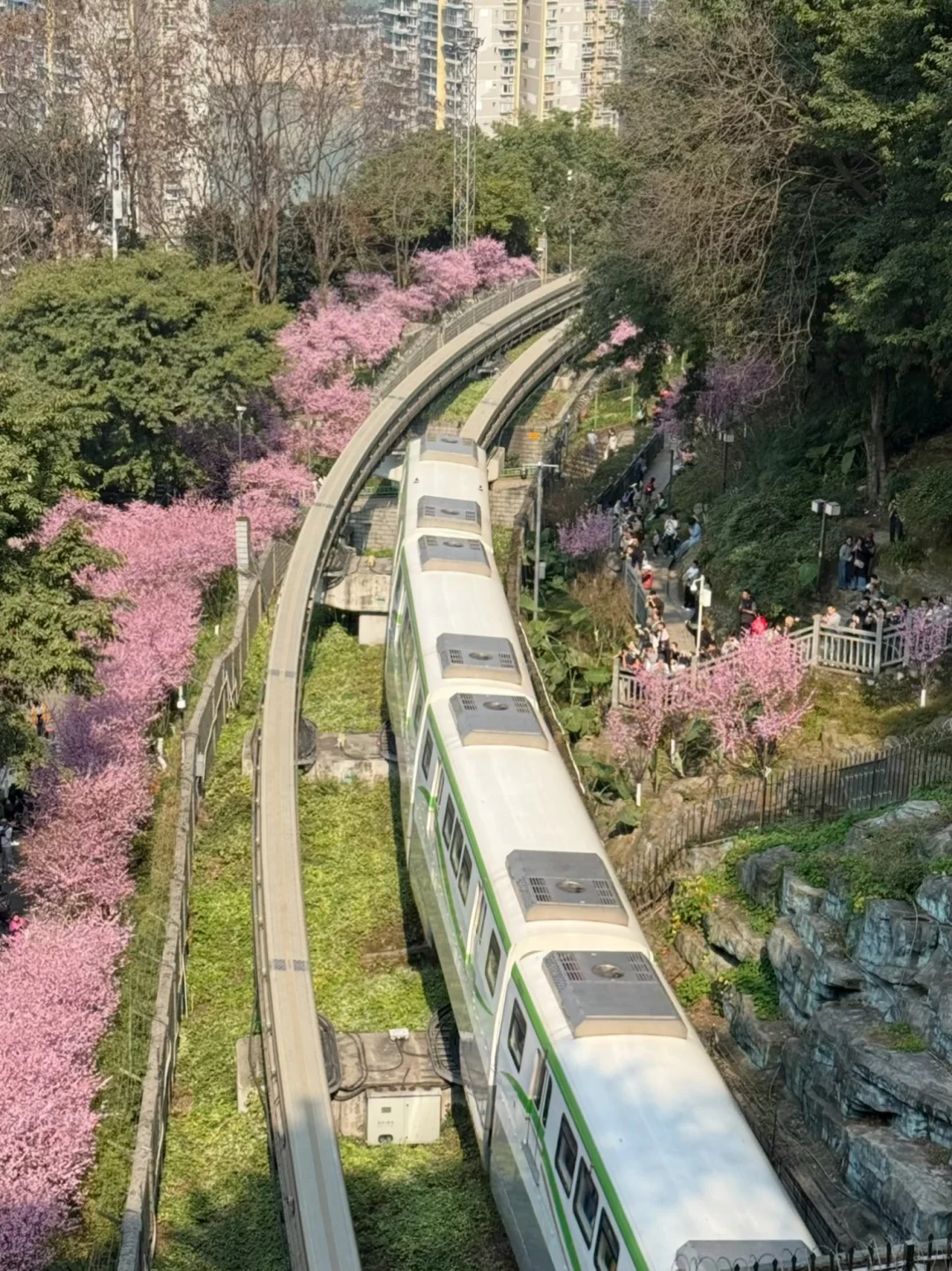 离开重庆一定一定要去的地方。。。。。（省力版