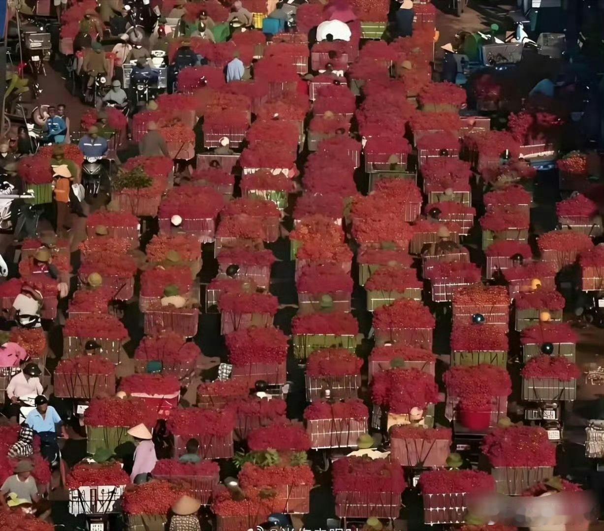 都要烂大街了，为什么还不降价？​​​