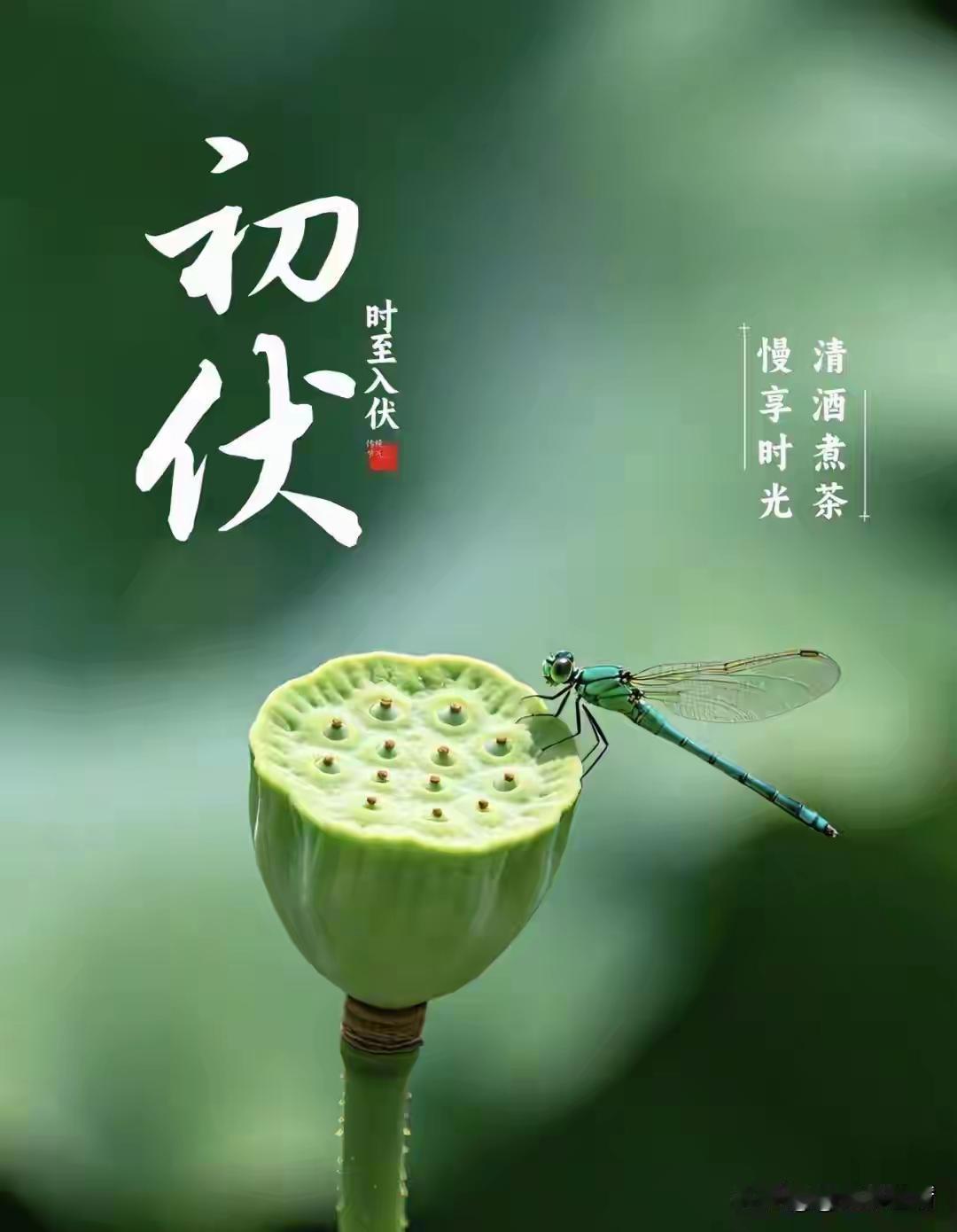 明日就要迎来初伏高温天气，中老年人群身体耐受度偏弱，记住一套简单养生准则，1不洗