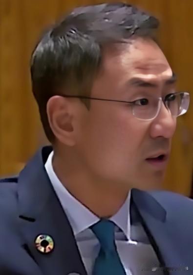美国在气候会上又“抽梯子”，耿爽的比喻绝了！你说这国际会议上，有时候真跟看戏