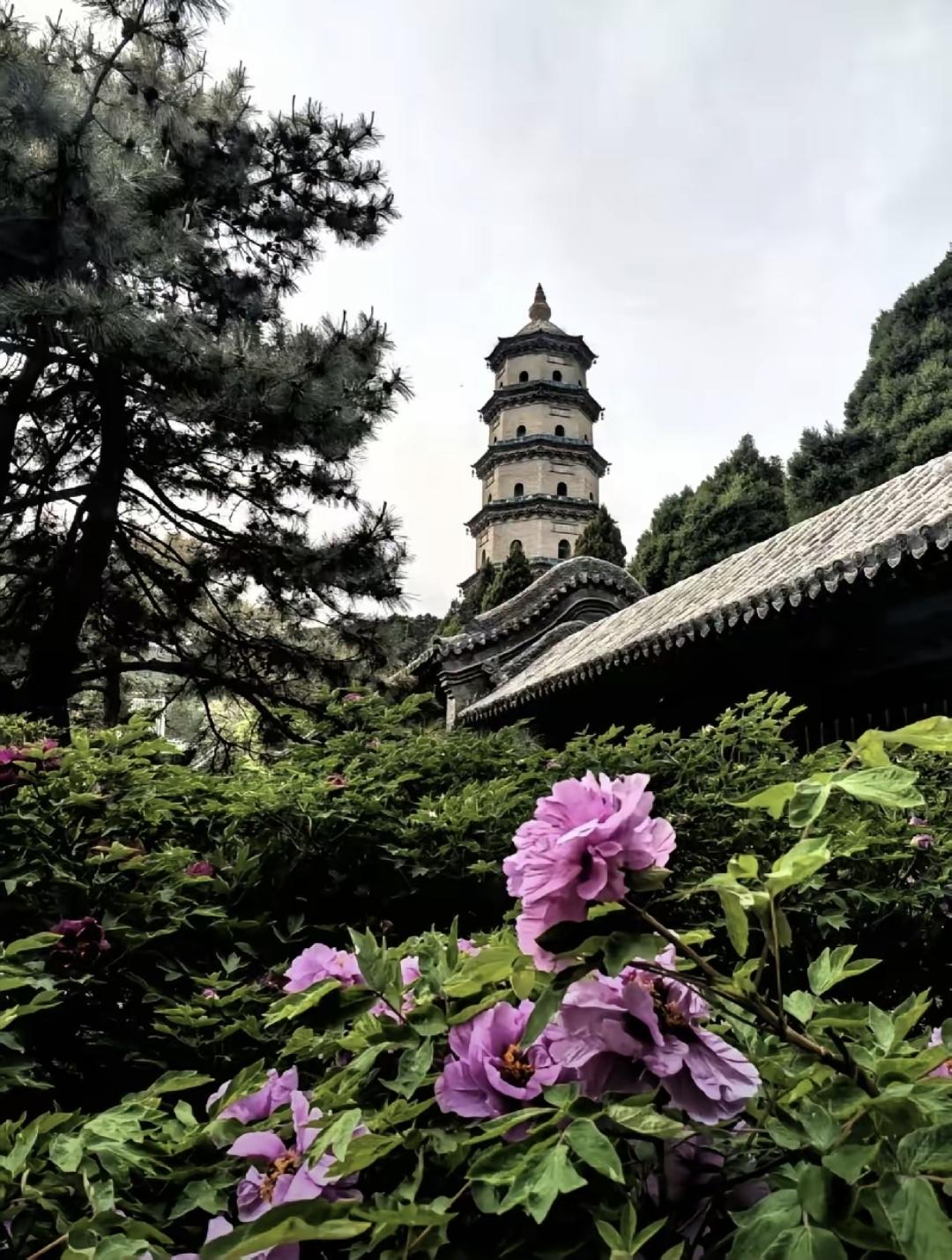 64岁，心如死灰不是矫情，是真被掏空了。她照顾残疾弟弟，自己没养老金，前夫在别