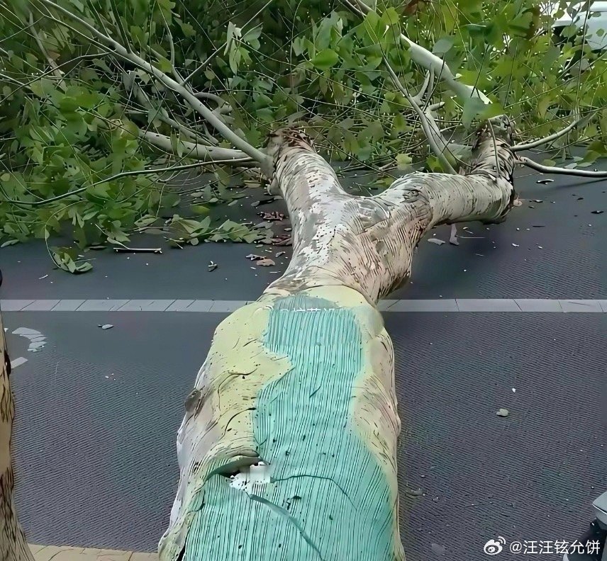 现在还有什么是真的