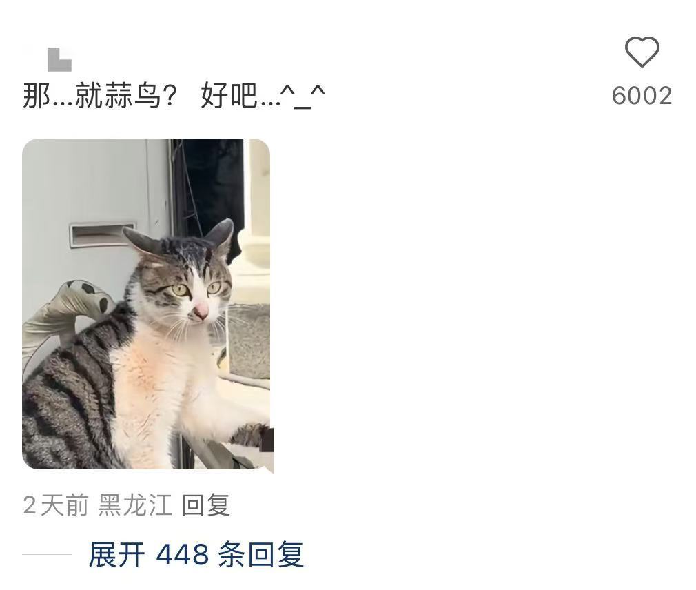 蒜鸟蒜鸟都不容易建议全国推广，专治各种吵架、工位互撕~​​​