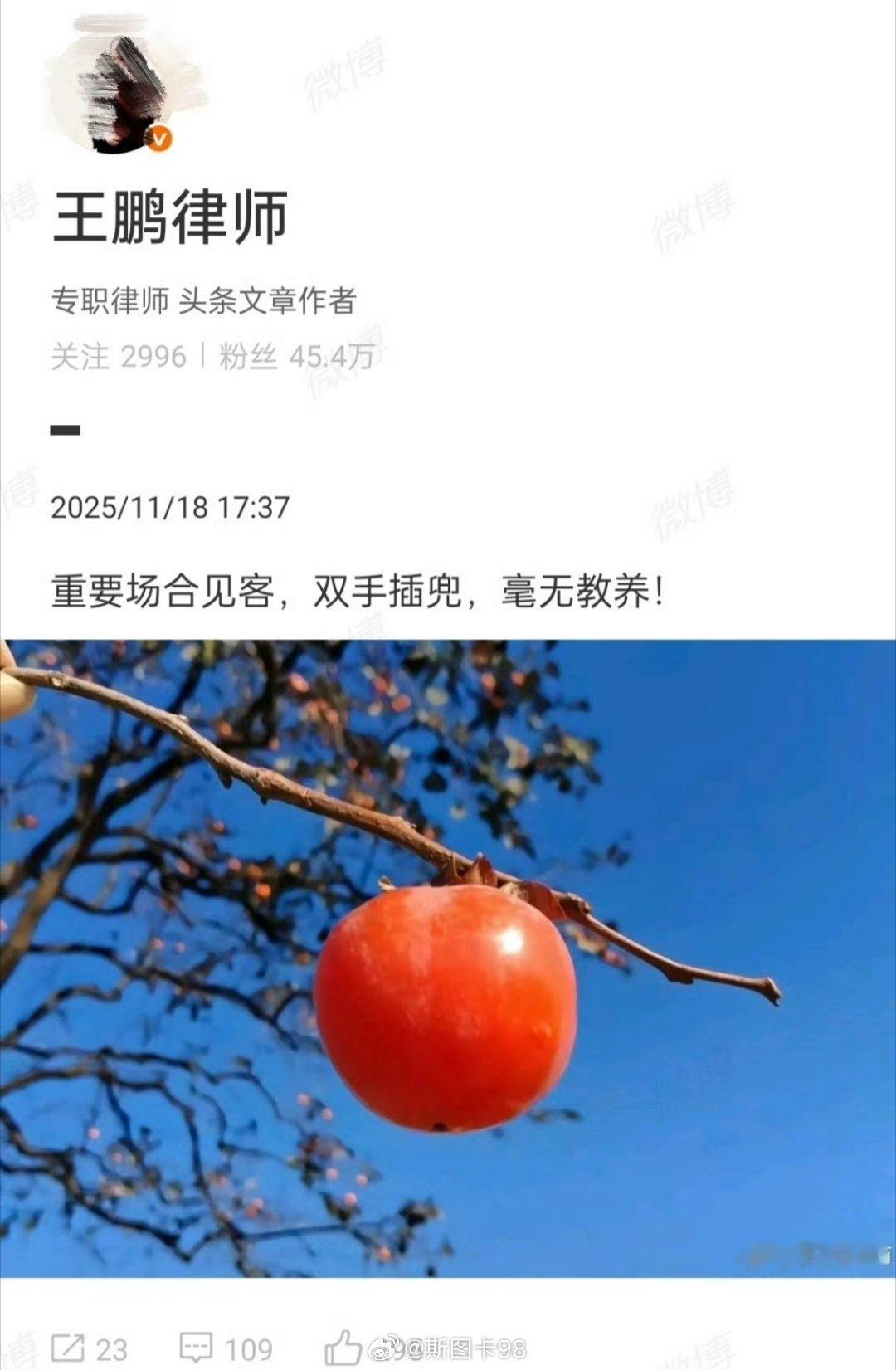 怎么删了？外务省不给钱了么？
