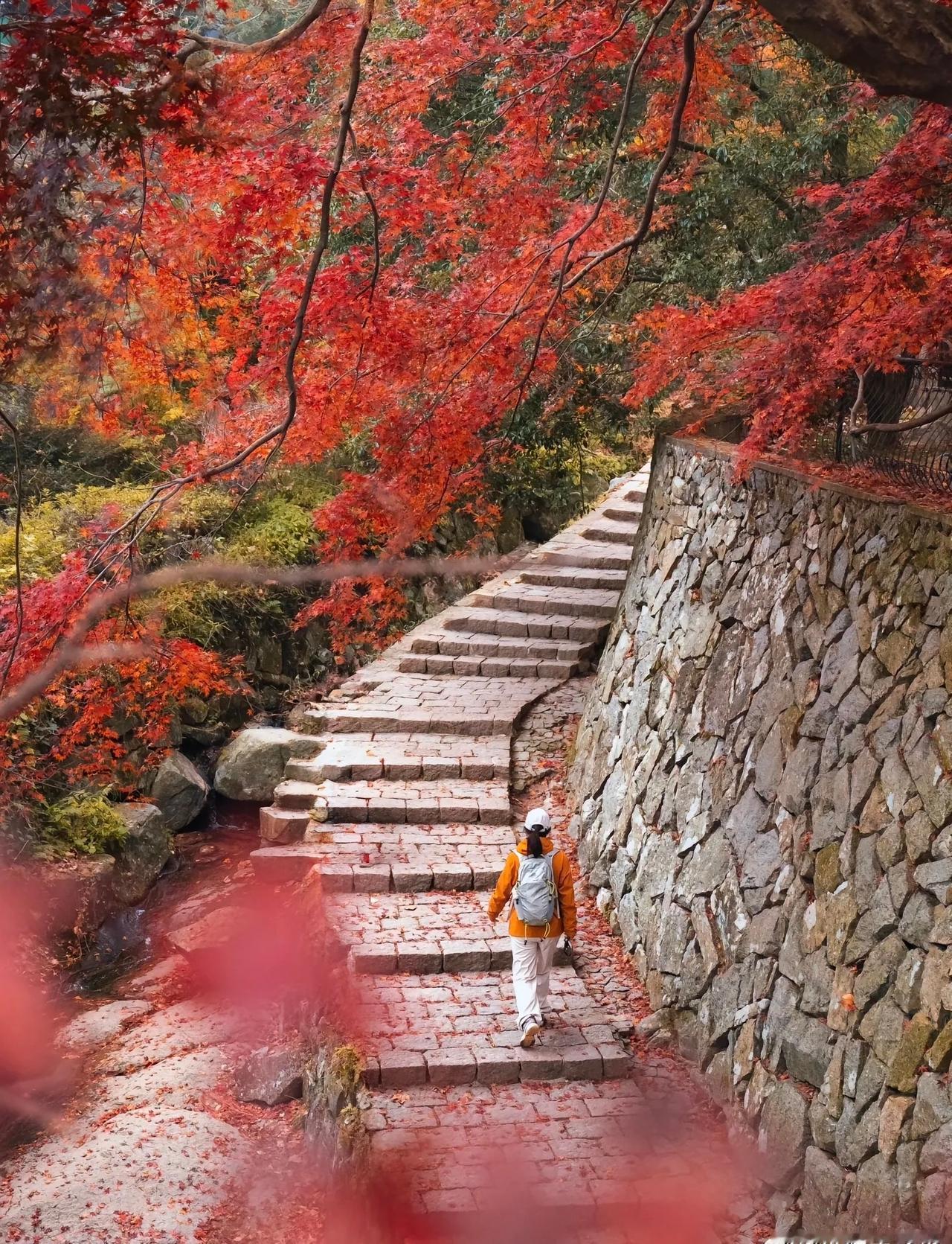 旅游超话江浙沪秋冬徒步宝藏路线11/12月赏秋。徒步赏秋,浙江的秋假别再纠结去