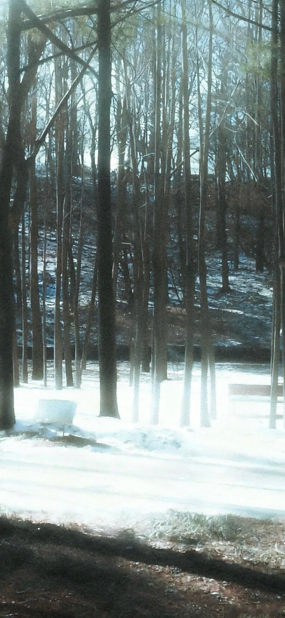 ｜冬季朦胧系列壁纸分享