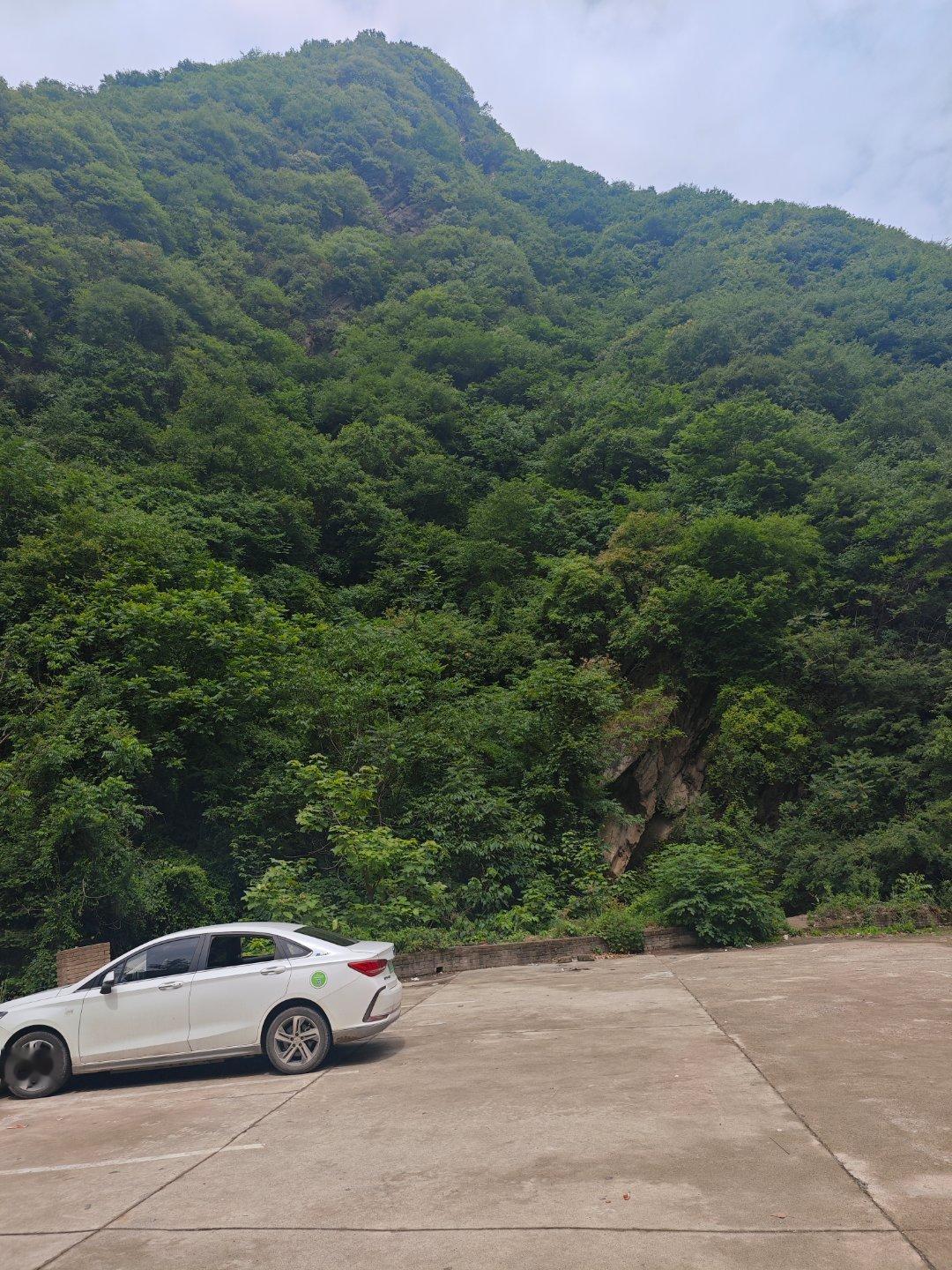 有人纽北卷赛道，有借高管卷睡觉。​​​