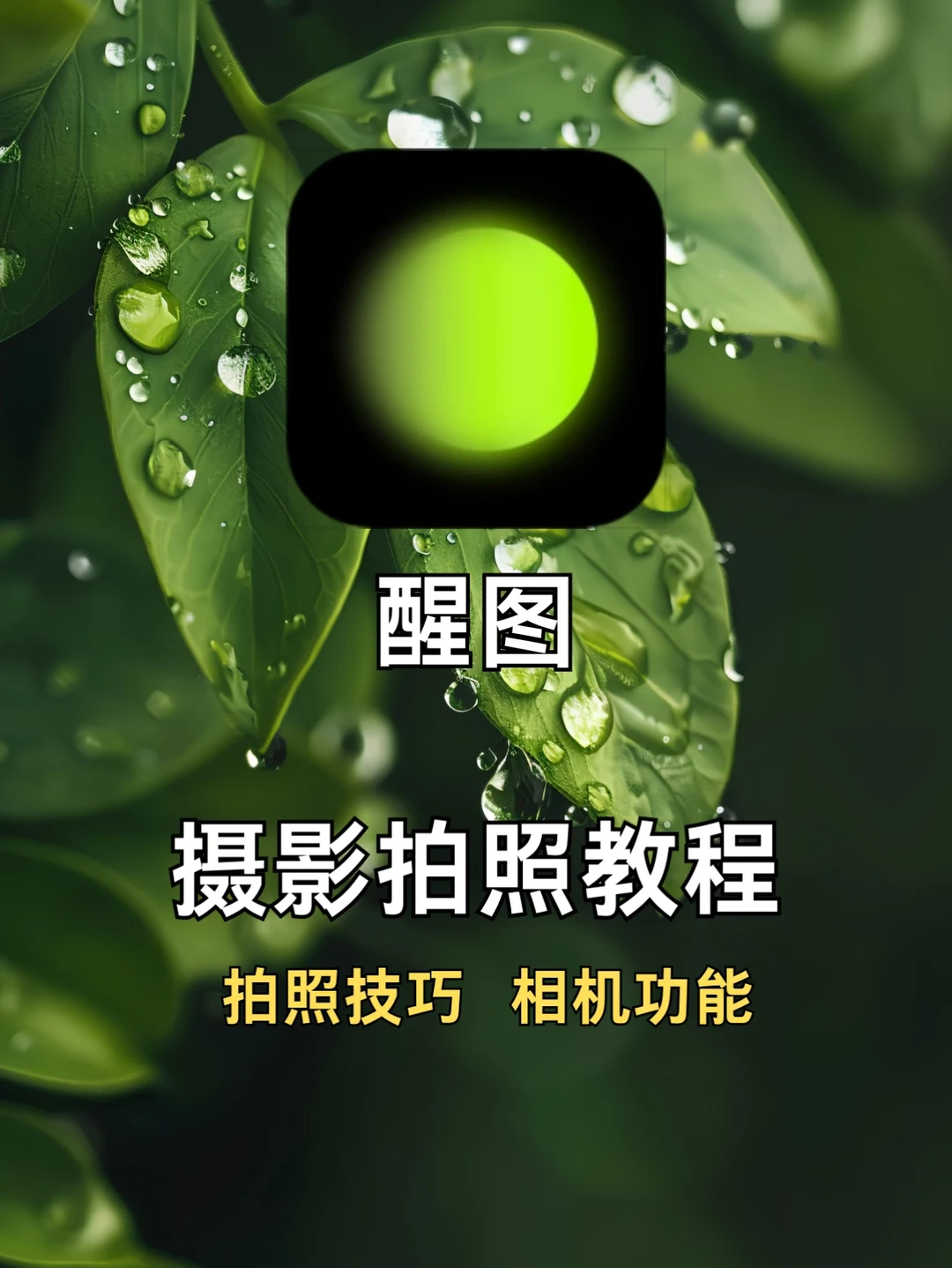 解决图片寡淡的小技巧！醒图出片神教程📷