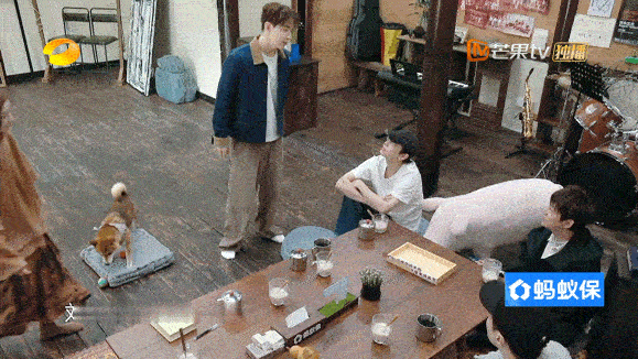 破防了！黄磊、何炅、刘宪华、彭昱畅、张子枫、张艺兴六人大团聚，乌镇水乡再现蘑菇屋