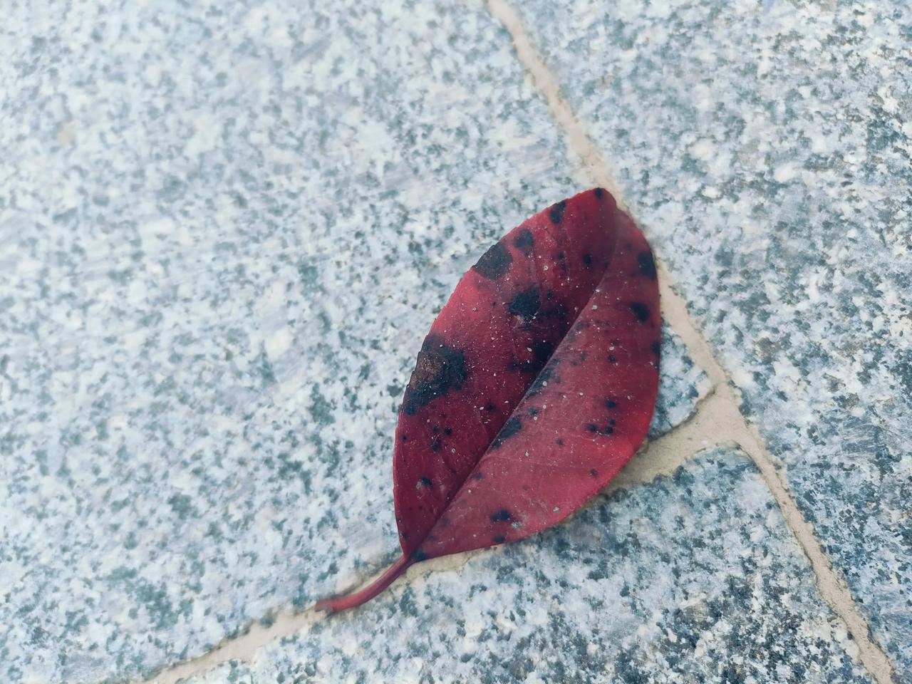 作业太多的根源，还是在于上课效率太低今天中国小学生的家庭作业负担确实很重，不少