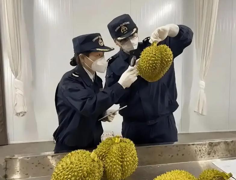 今年东南亚水果圈最大的闹剧，莫过于越南榴莲塌房事件。靠着中国庞大的消费市场，越南
