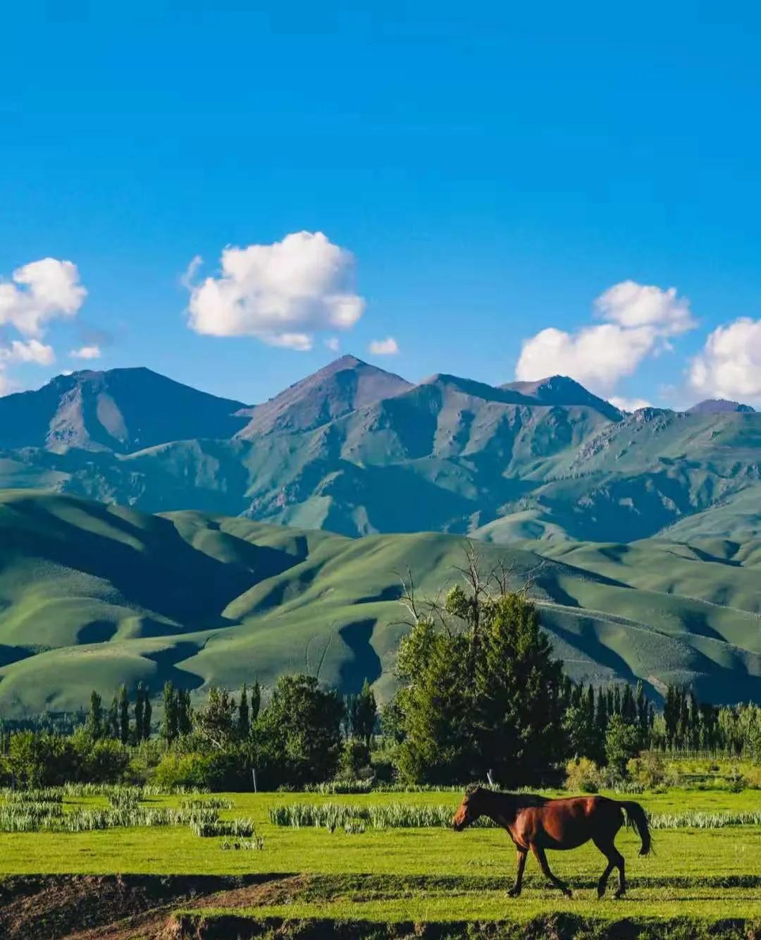 一个女司机说不要说压到草场就是闯了人也不怕内蒙古草原上，有个女司机开车时不
