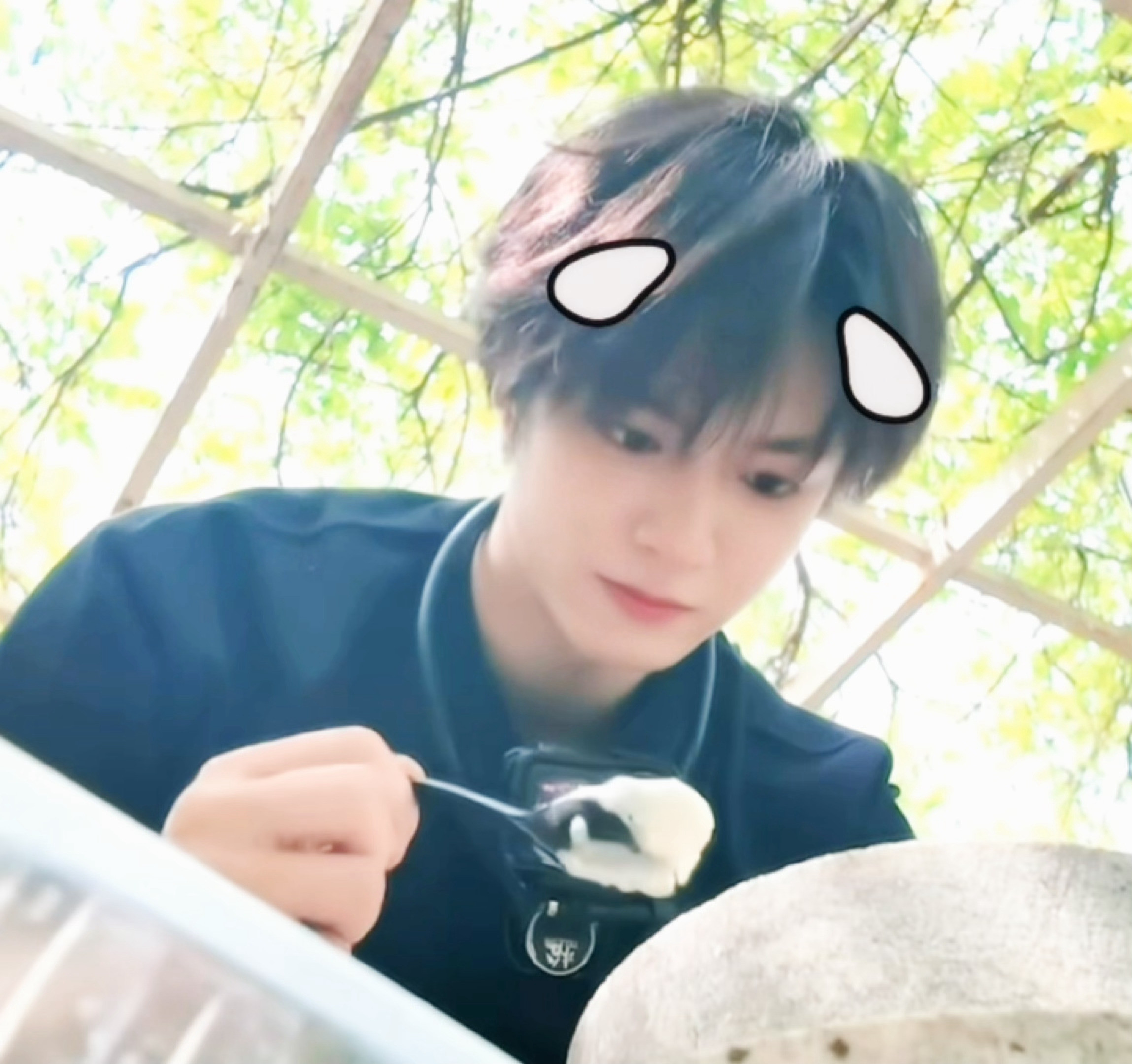 呆能量