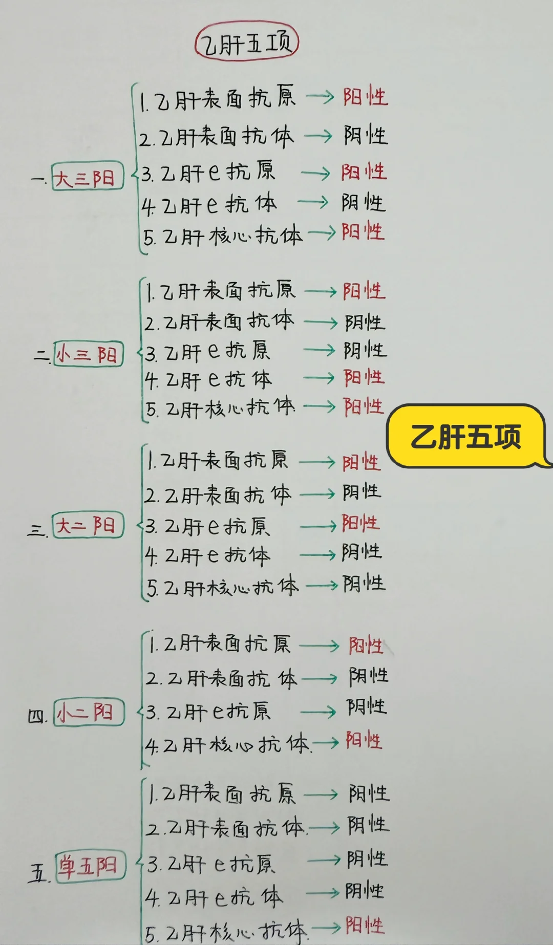 今日学习打卡——乙肝五项