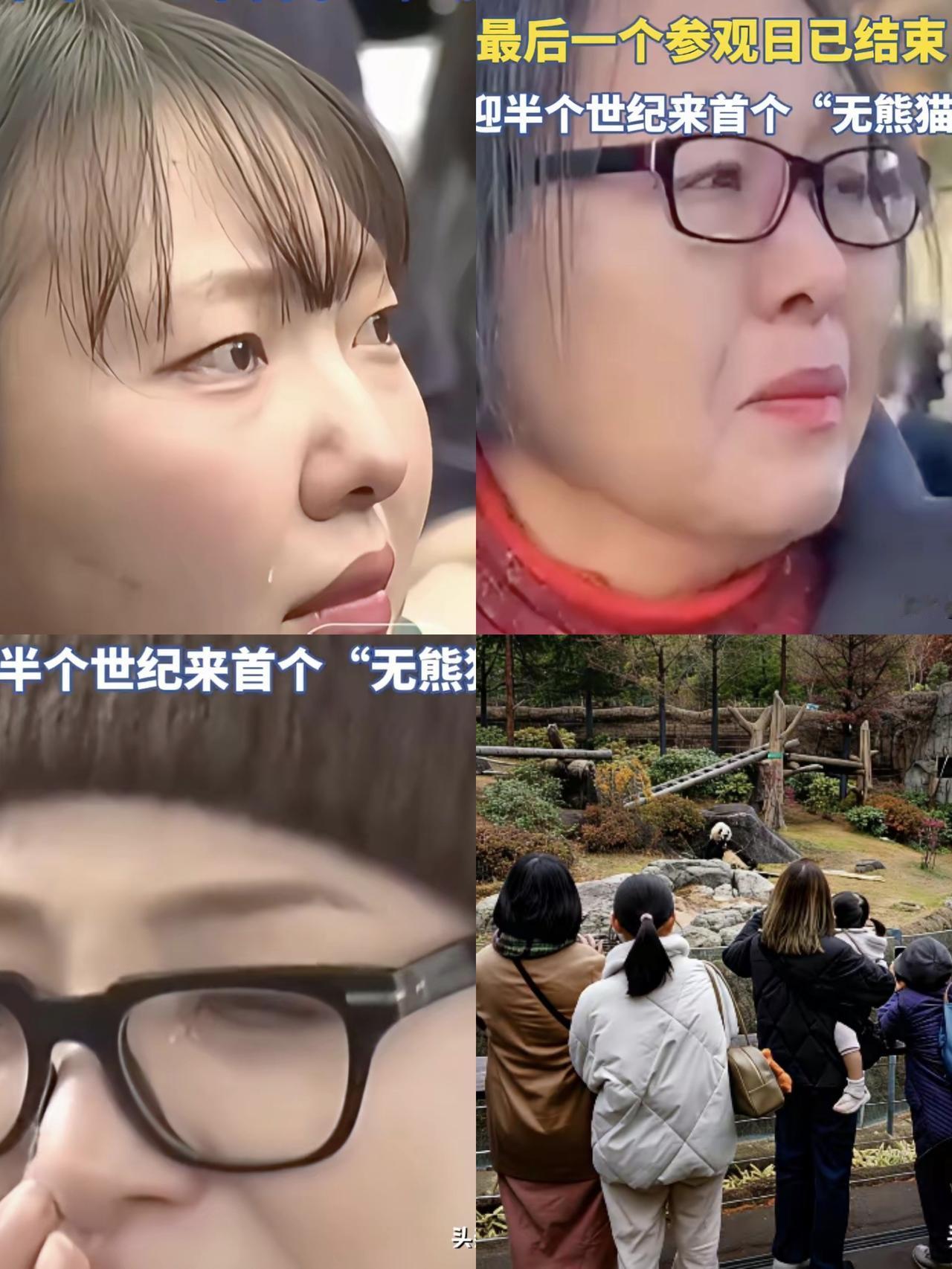 熊猫回来了，一大批日本人哭得稀里哗啦，一开始我还以为他们不舍得大熊猫，后