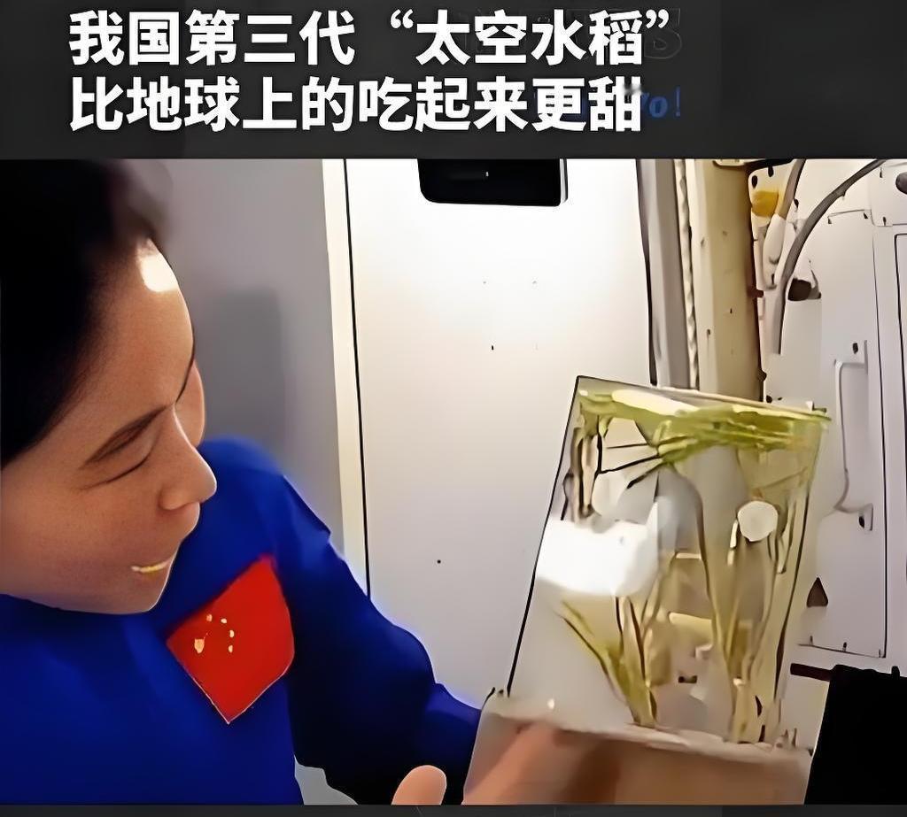 中国人的种地基因真是刻进骨子里的！不管到哪儿，只要有块能用的地方，就想种点