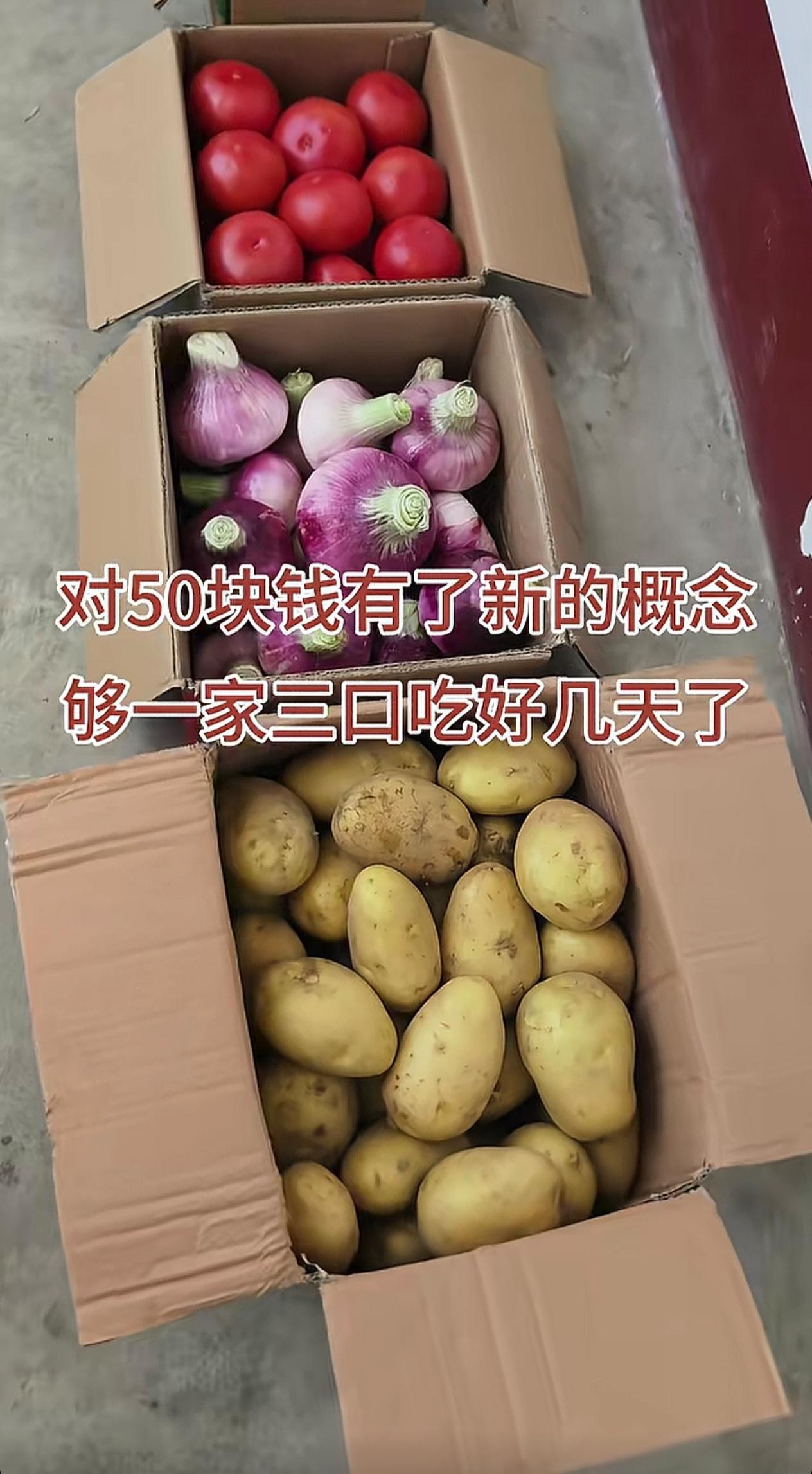 现在的菜是真便宜，我花50元买这么多菜，很多人都不信！