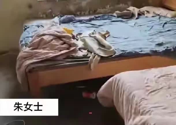 山东一母亲带三孩外出突然晕倒！孩子骨瘦如柴引全网揪心，背后真相令人心酸近日，