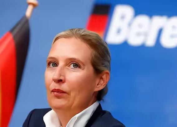 德国政坛这瓜也太刺激了德国政坛这瓜也太刺激了，极右翼选择党主席魏德尔本来风头