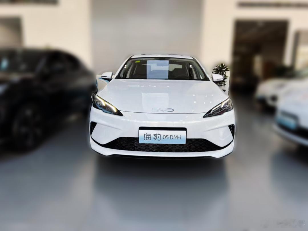 海豹05销售反馈：1，海豹05加推的两个210km版本是尊贵型和旗舰型，指导价分