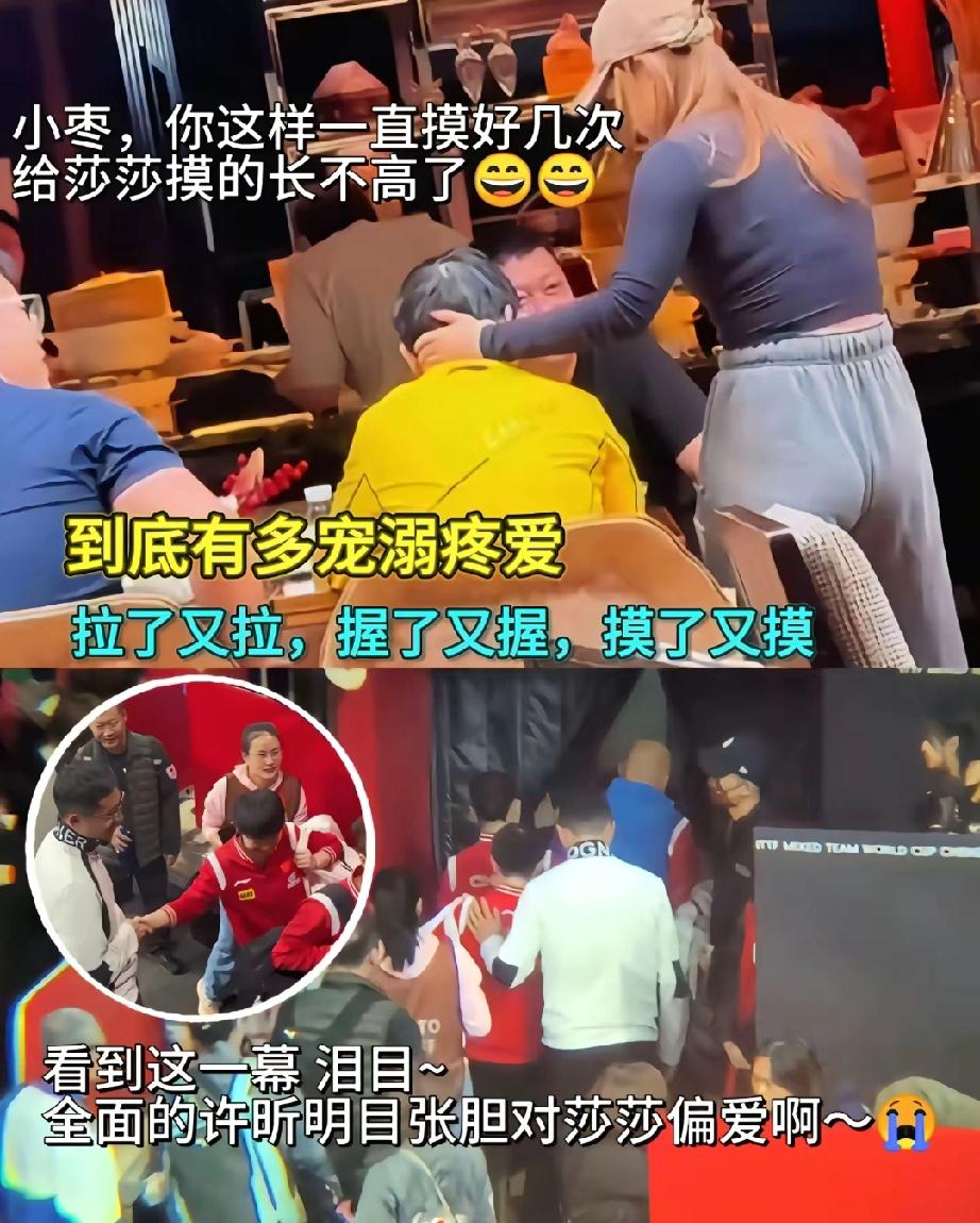 国乒教练邱贻可，面对采访对记者说莎莎。“不知道为啥都喜欢她”已经退役的刘诗雯