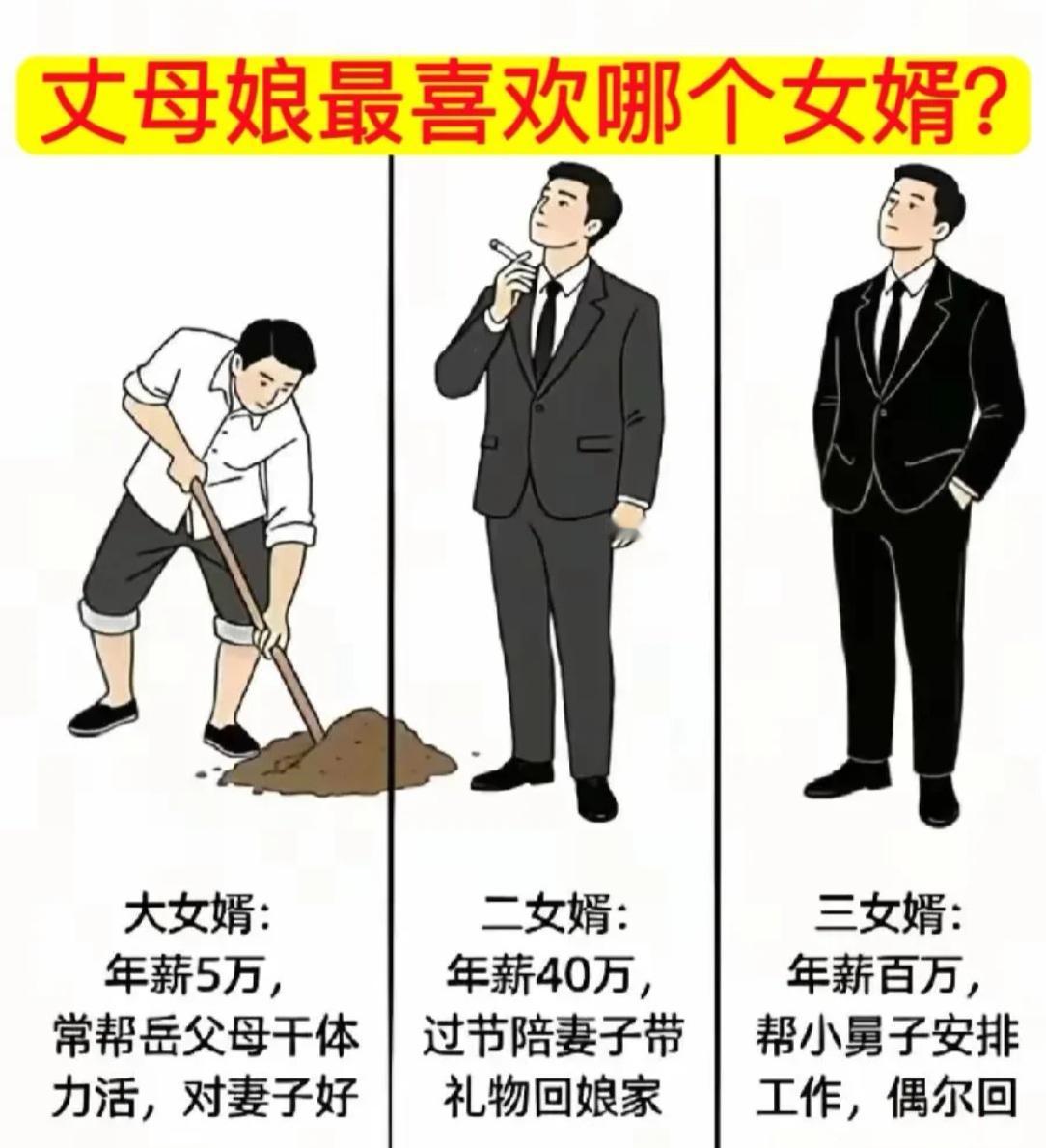 丈母娘最喜欢哪个女婿？