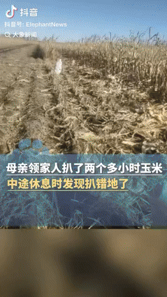 “笑发财了！”黑龙江齐齐哈尔，一位大姐带着家人去地里收玉米，不料整整俩小时没直